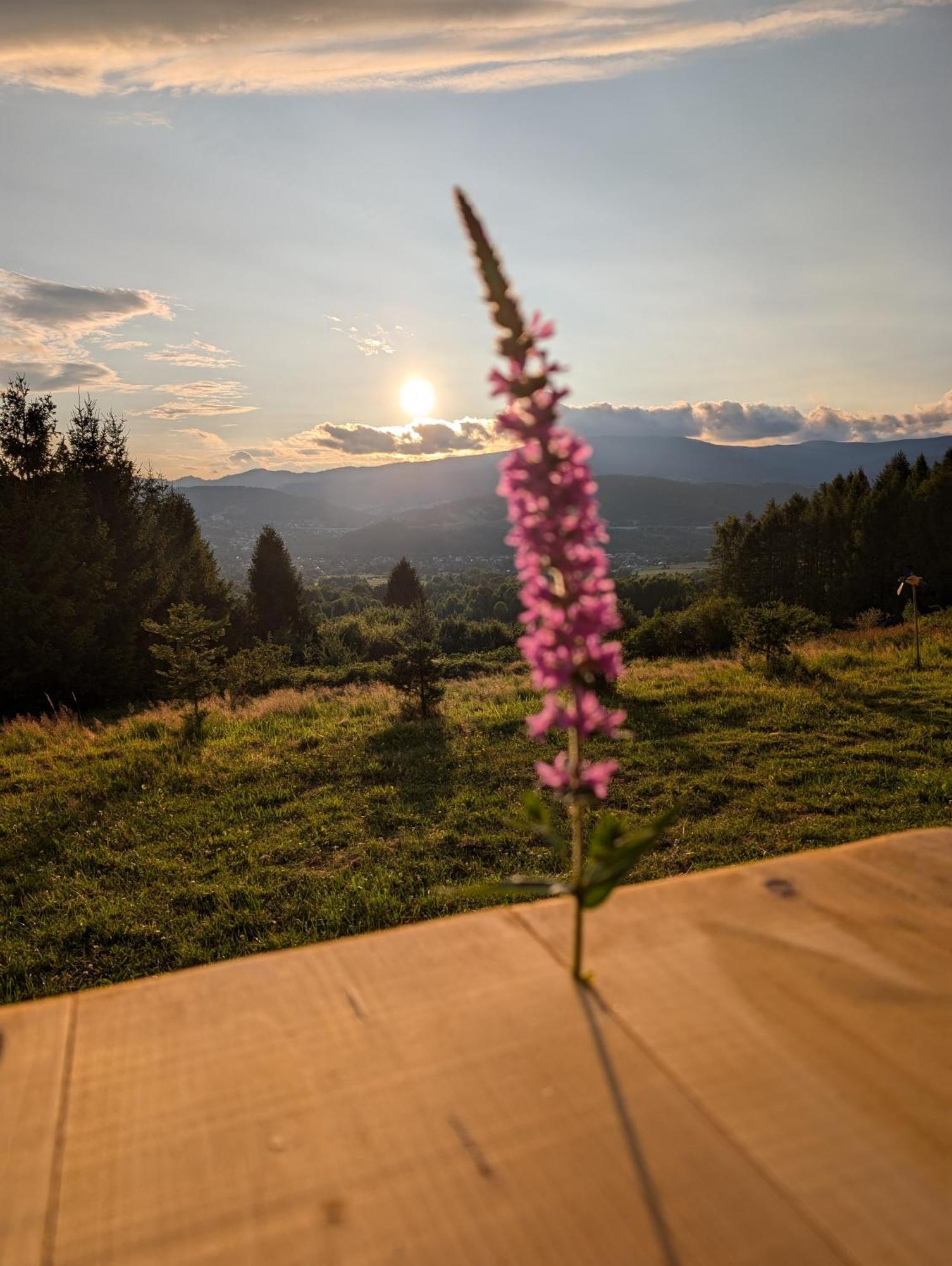 Villa Beskid Milówka Eksteriør bilde